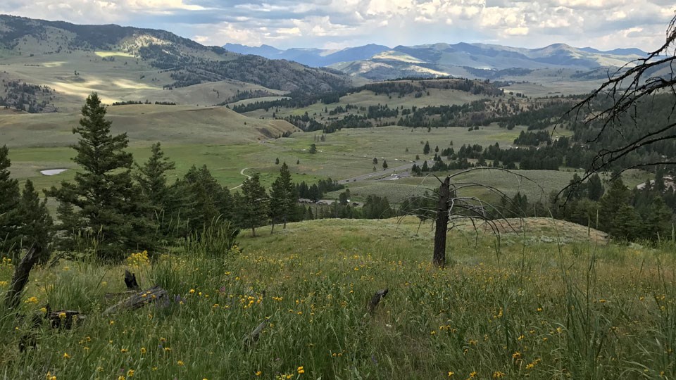 Staff Members' Favorite Hikes - Yellowstone Forever