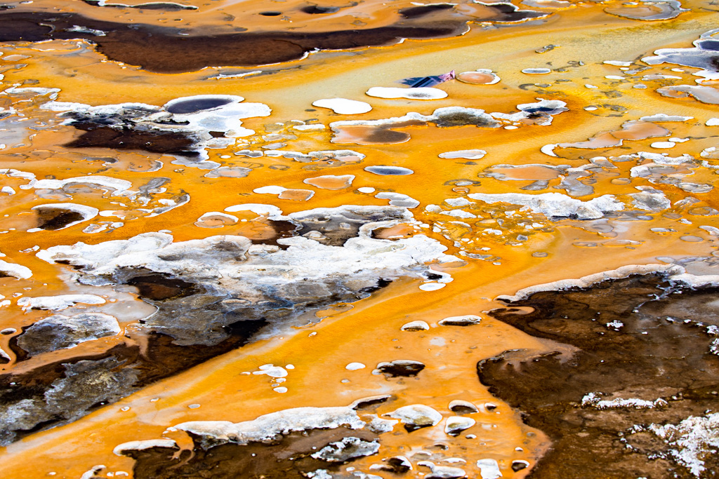 Colors Of Curiosity: Yellowstone’s Microbes - Yellowstone Forever