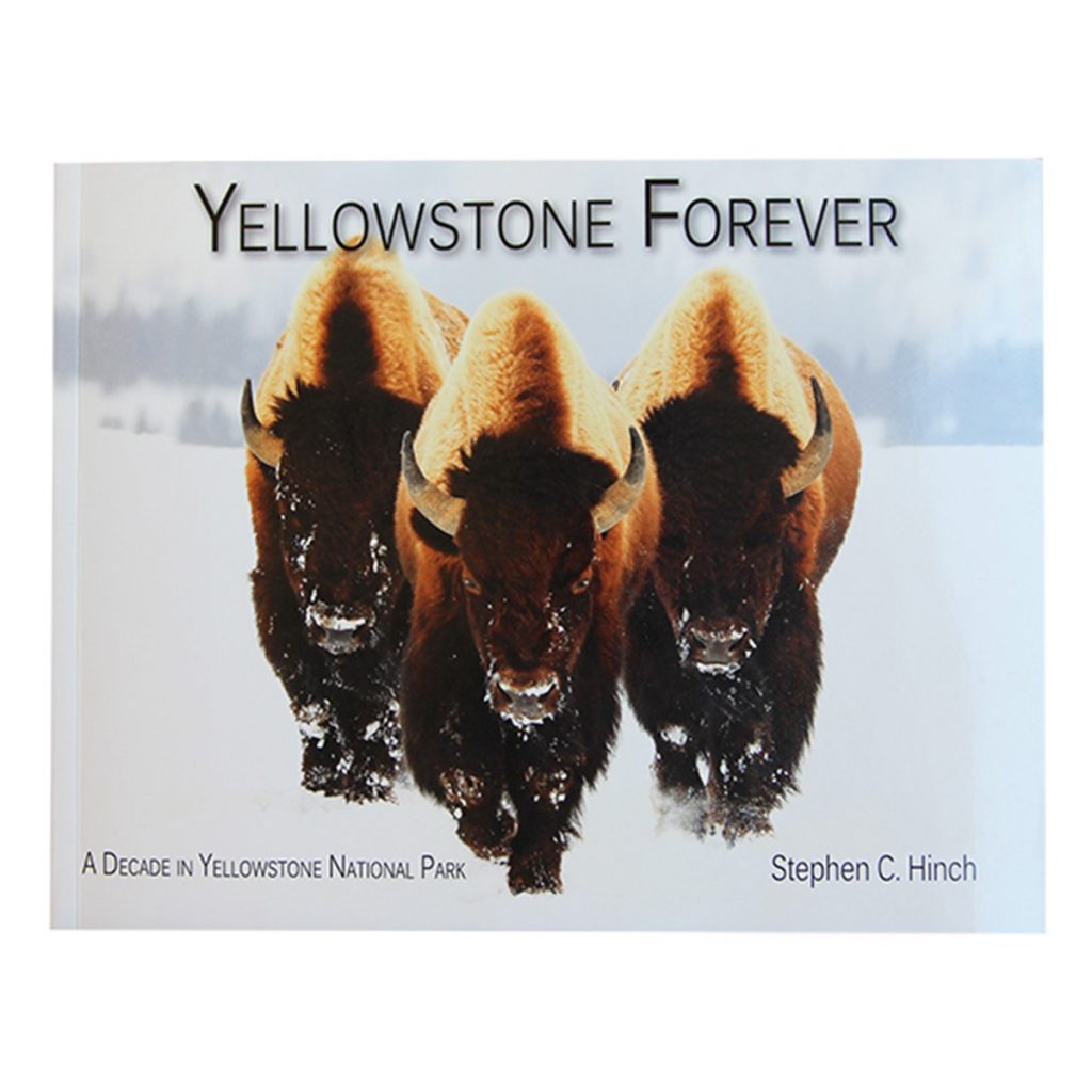 Yellowstone Calendar of Events Yellowstone Forever