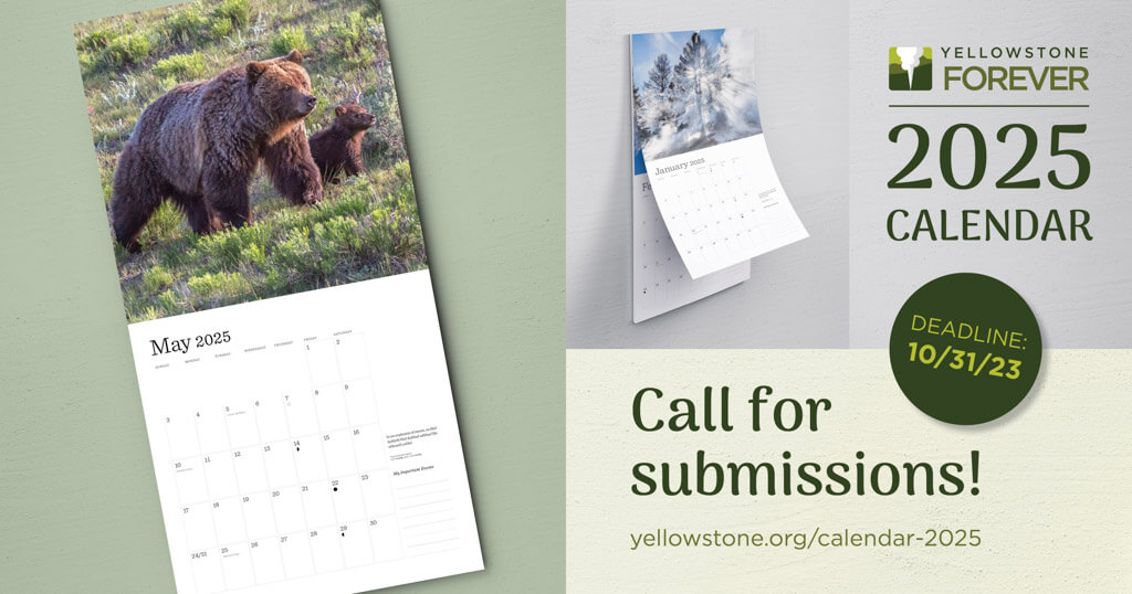 Yellowstone Forever 2025 Calendar - Call for Submissions - Yellowstone  Forever
